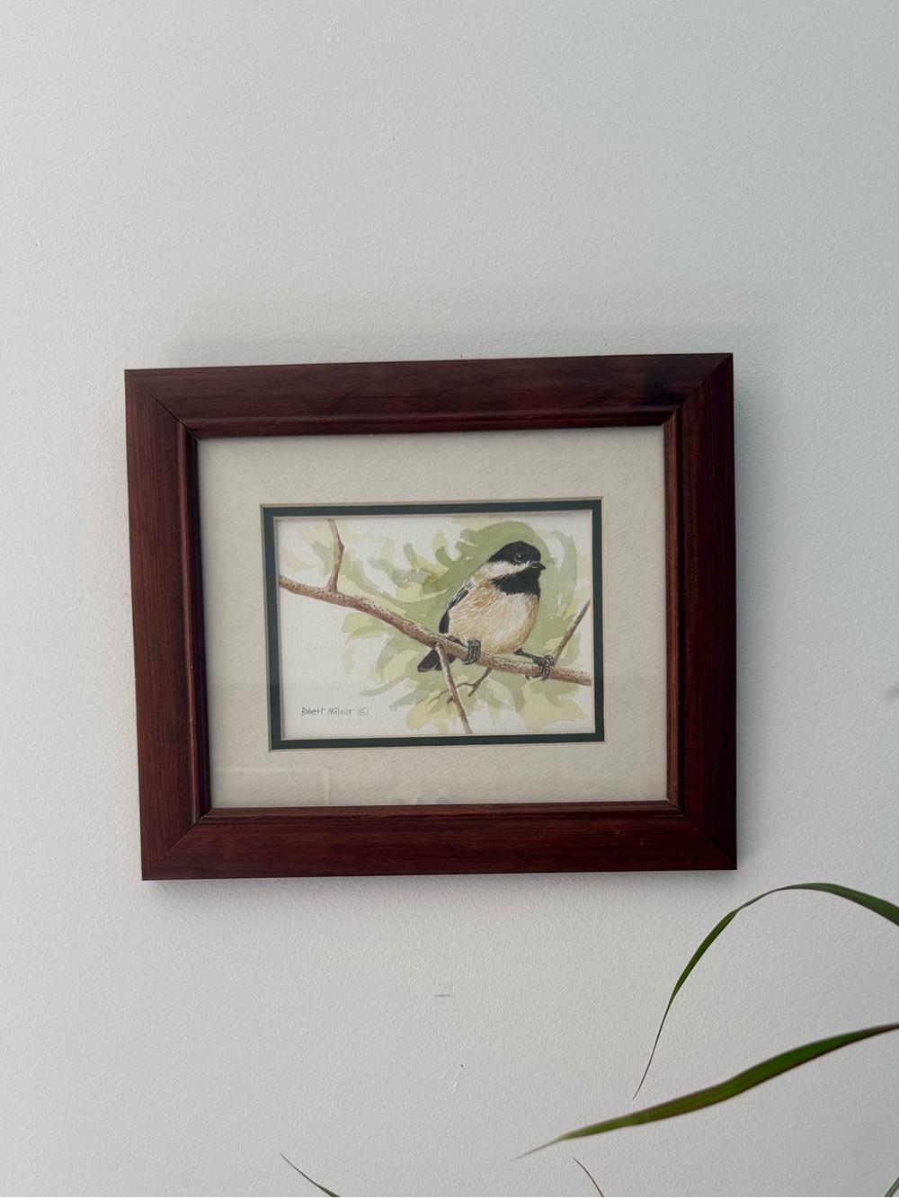 Robert Milner Framed Original Bird Art Print in Dark Wood Frame